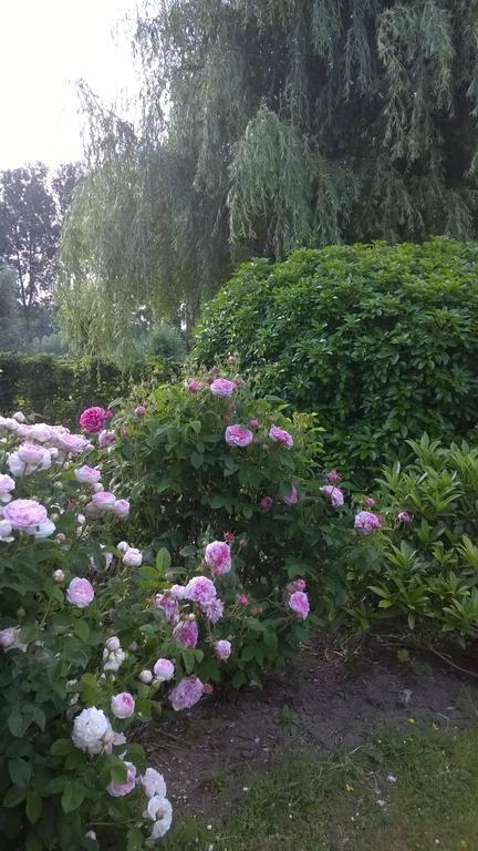 B&B Hier En Nu Heusden Ngoại thất bức ảnh